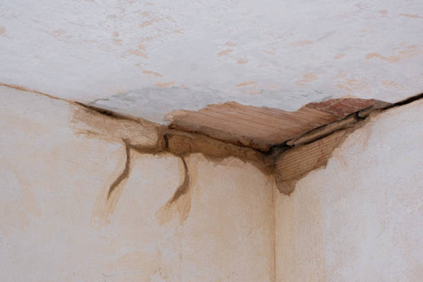 Best Flood damage cleanup  in Woodstown, NJ