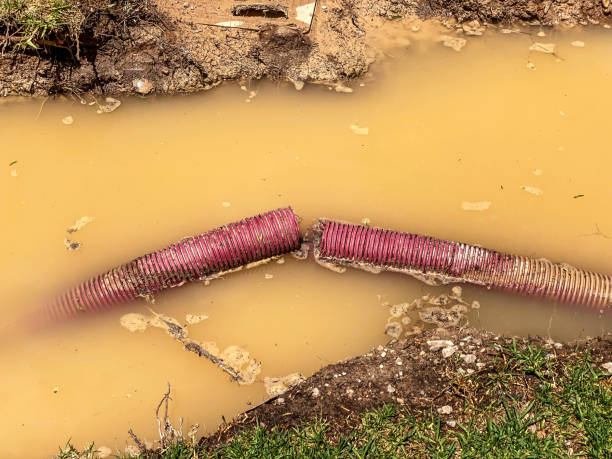 Reliable Woodstown, NJ Water damage restoration Solutions